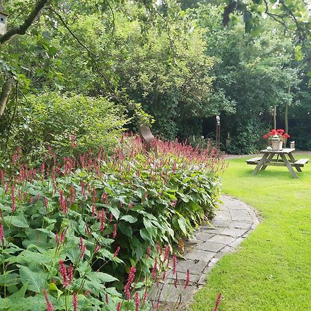 Rest En Romte Bed and Breakfast Birdaard Eksteriør billede