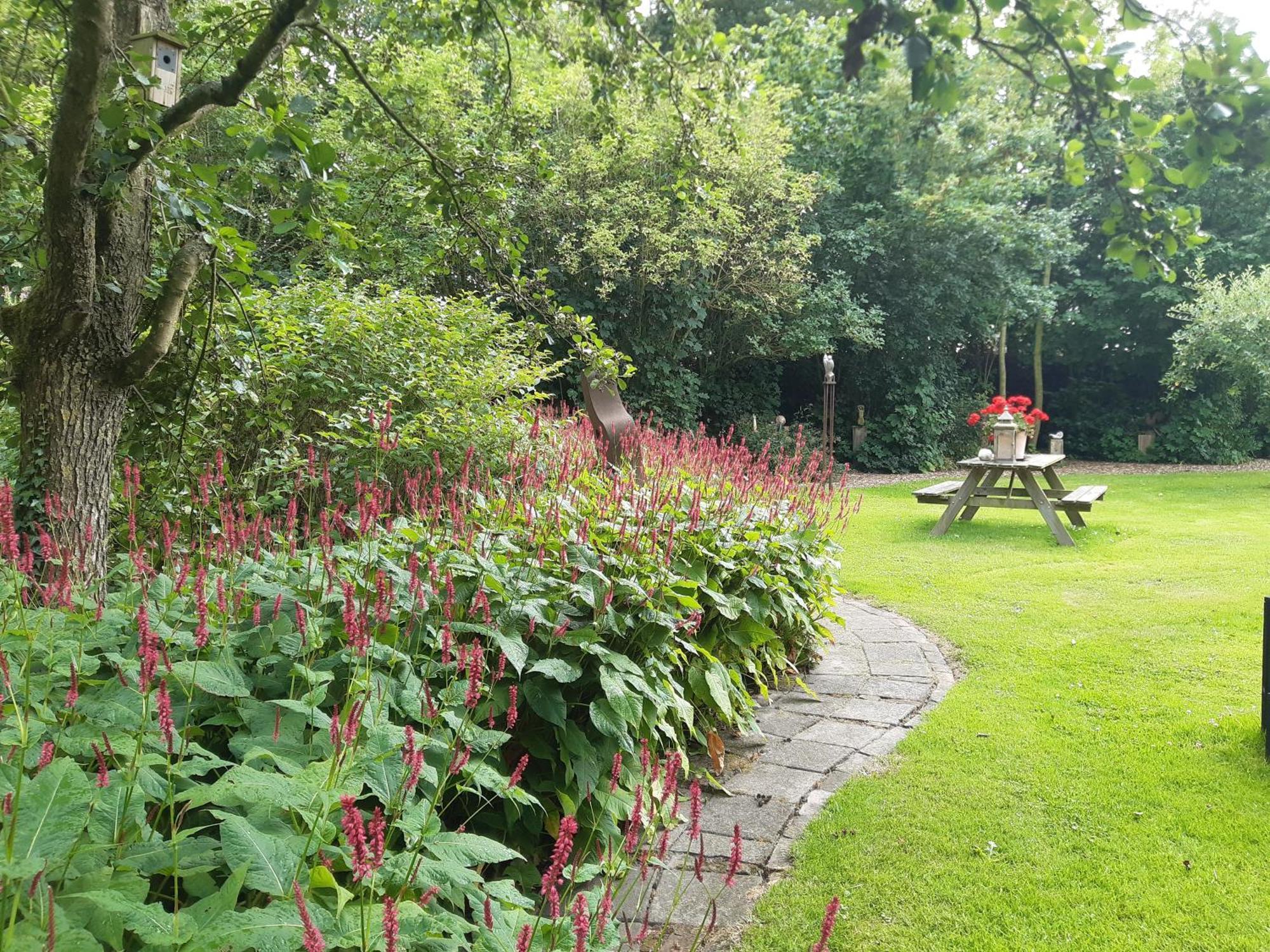 Rest En Romte Bed and Breakfast Birdaard Eksteriør billede